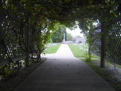 School Sisters of Notre Dame